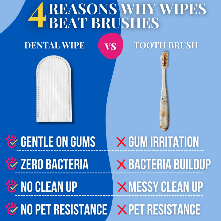 Comparison chart showing four reasons why dental wipes beat toothbrushes for pets, highlighting benefits like zero bacteria and no cleanup.