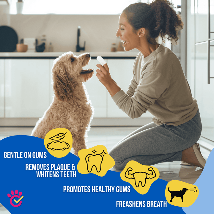 Woman using Dr. Paws Choice Pet Dental Finger Wipes on dog for plaque removal, fresh breath, and healthy gums.
