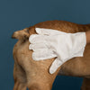Glove & Go! Glove Grooming Wipes for Dogs & Cats (20 Count)