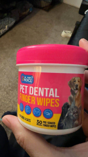 Pet dental finger wipes container with a bright pink lid, designed for dogs and cats, held by a person, shown on a carpeted floor.