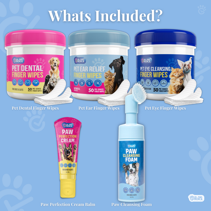 Head-to-Paw Glow Kit