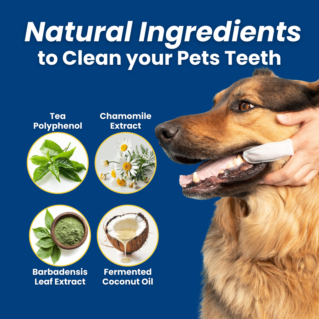 3-Pack Hygiene Bundle – Pet Dental, Ear, & Eye Finger Wipes