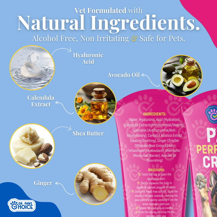 Paw Perfection Cream – Dog Paw Protector & Healing Balm with Soft Tip Applicator