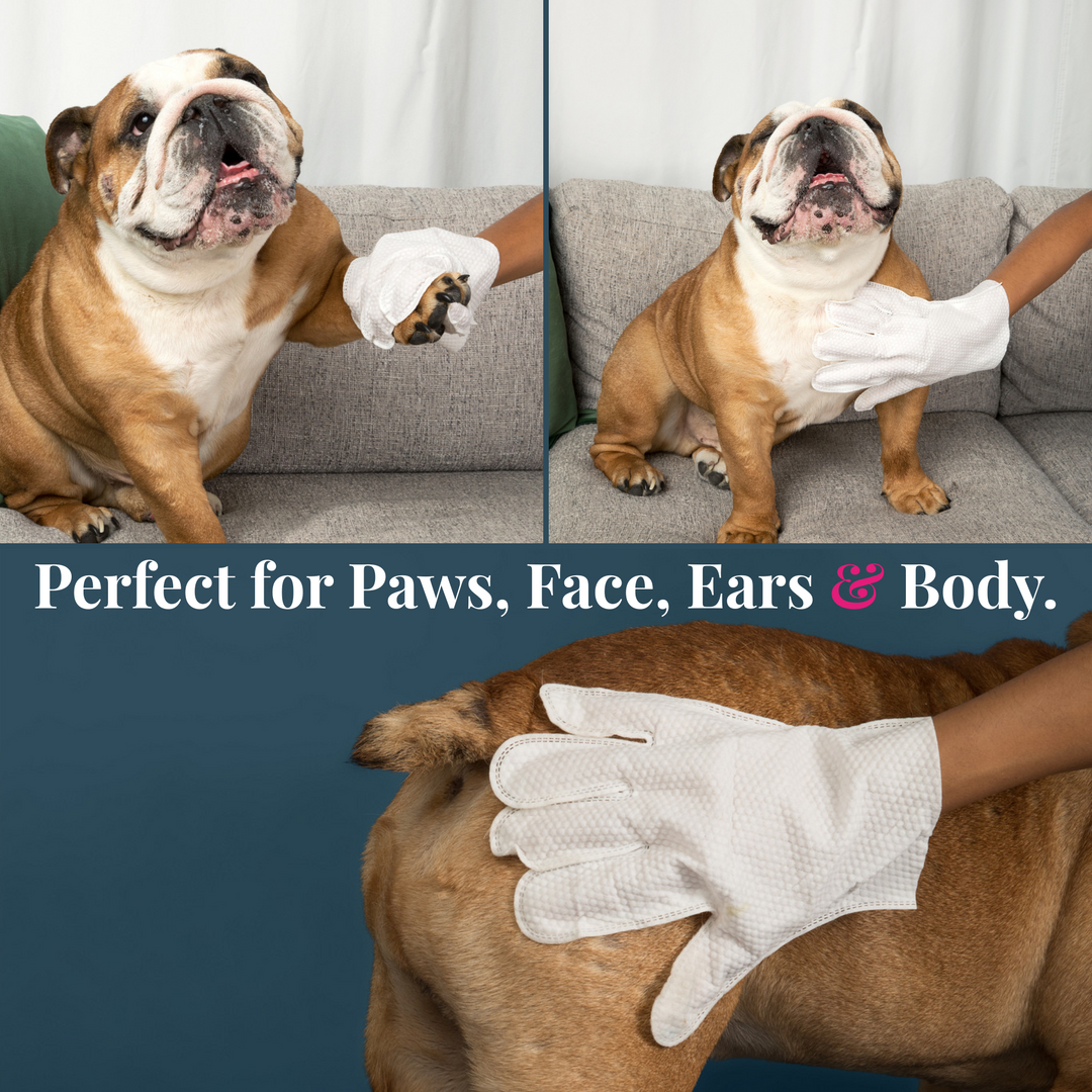 Glove & Go! Glove Grooming Wipes for Dogs & Cats