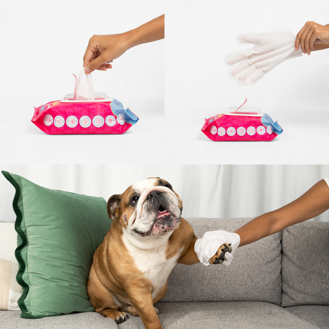 Glove & Go! Glove Grooming Wipes for Dogs & Cats