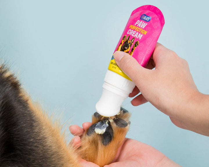 Paw Perfection Cream – Dog Paw Protector & Healing Balm with Soft Tip Applicator