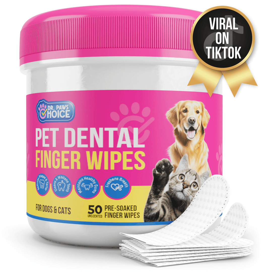 Dog teeth wipes best sale