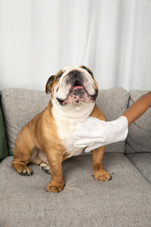 After photo of Charlie