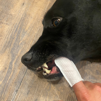 Customer review photo