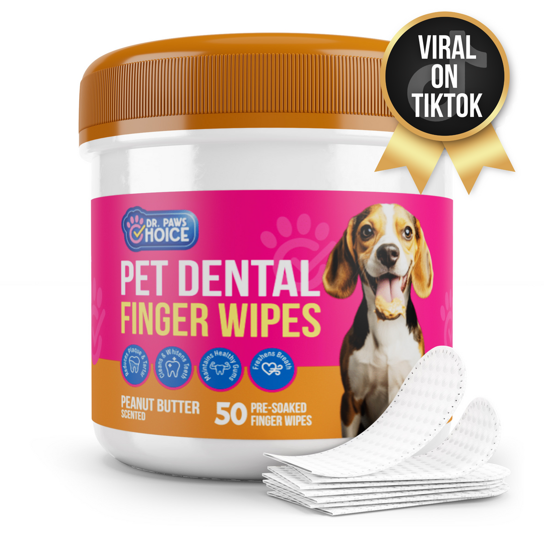 Plaque wipes for dogs best sale