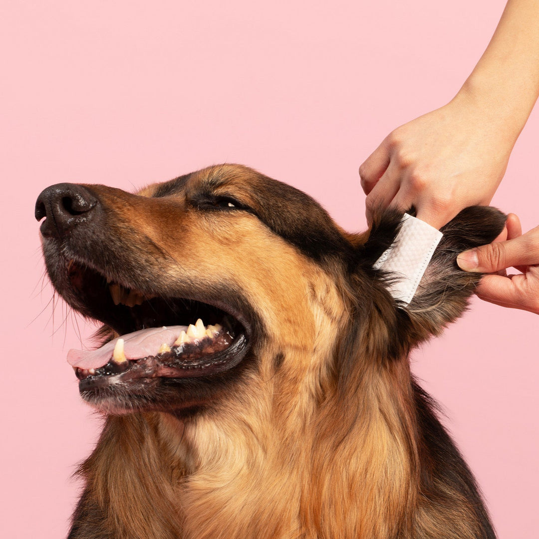 Oatmeal-Scented Ear Relief Finger Wipes for Pets