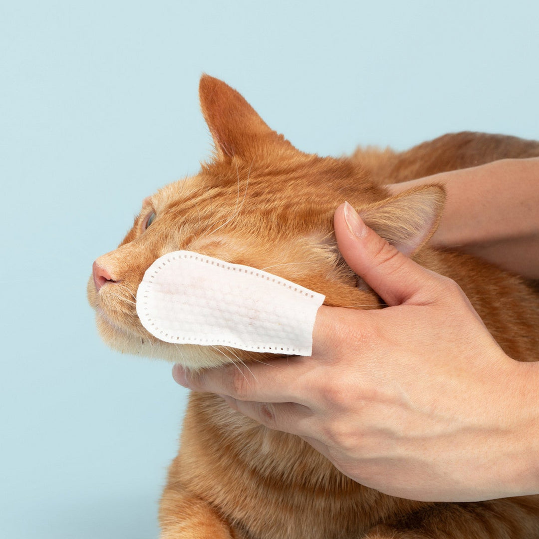 Pet Eye Relief Finger Wipes for Pets